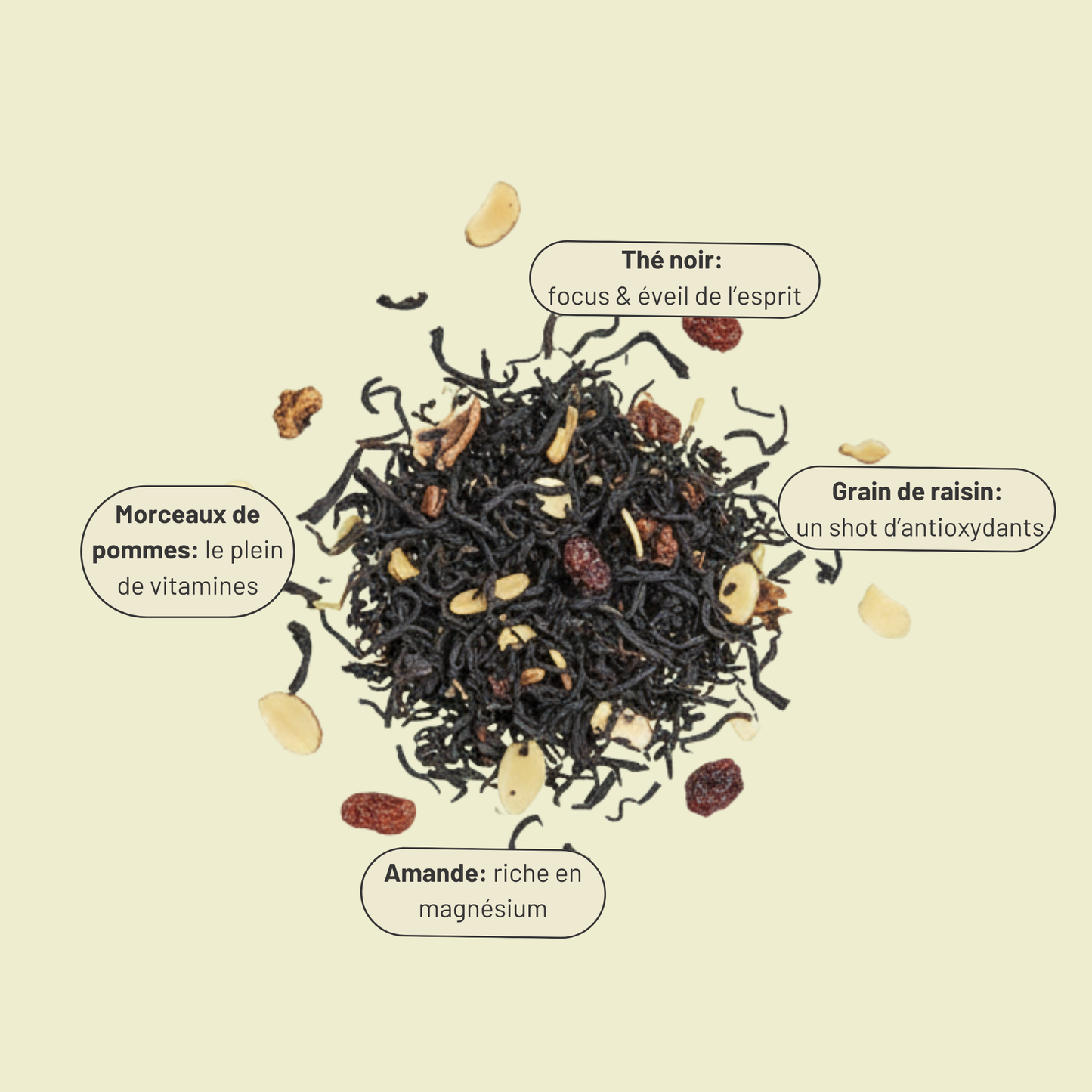 Je revis mes beaux souvenirs